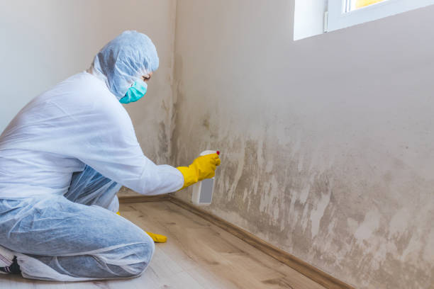 Hvac And Air Duct Mold Remediation inspection of HVAC system in West Sayville