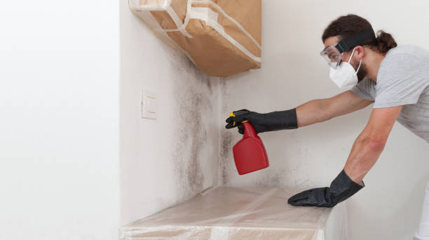 Attic Mold Remediation treatment on roof deck in West Sayville
